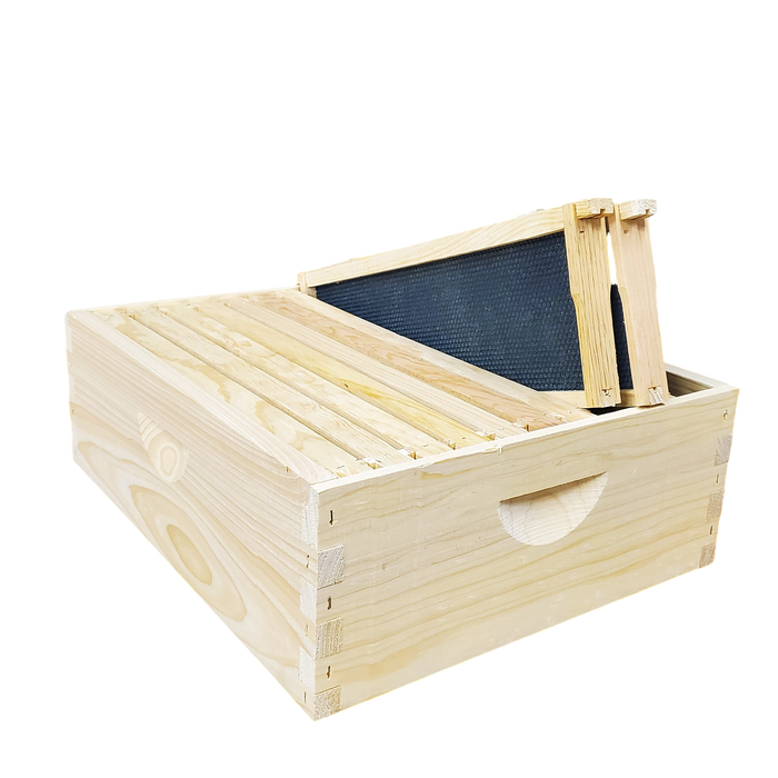 10-Frame Complete, Medium 6 5/8-inch Box with Frames and Foundation