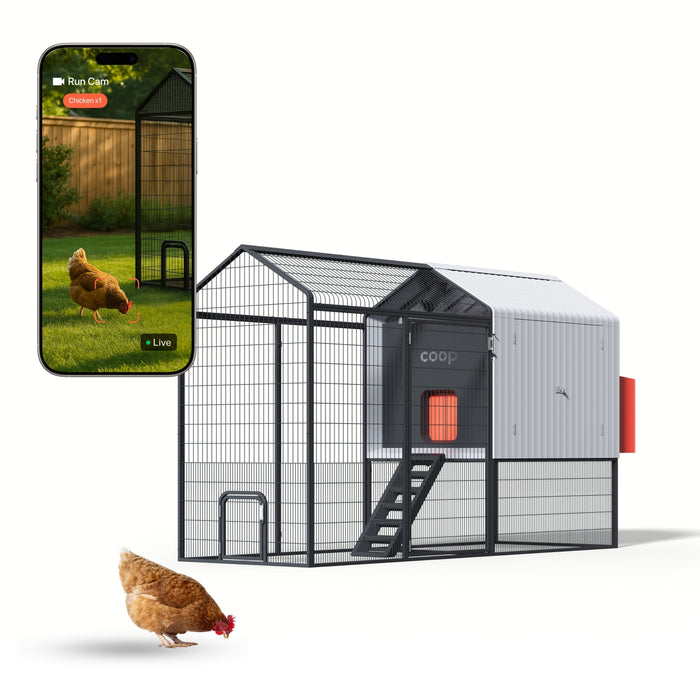 The Smart Coop + Steel Run
