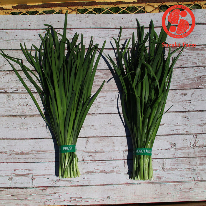 NIRA Garlic Chives | Suzuki Farm | 1 bunch