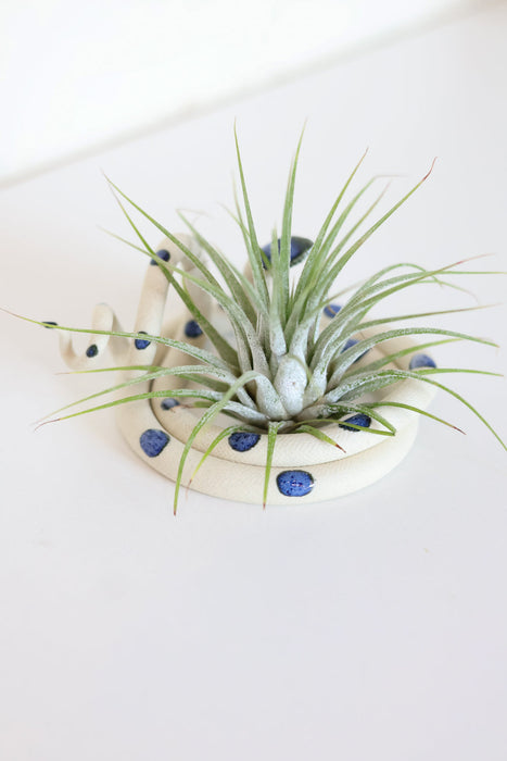 Medium Ceramic Snake