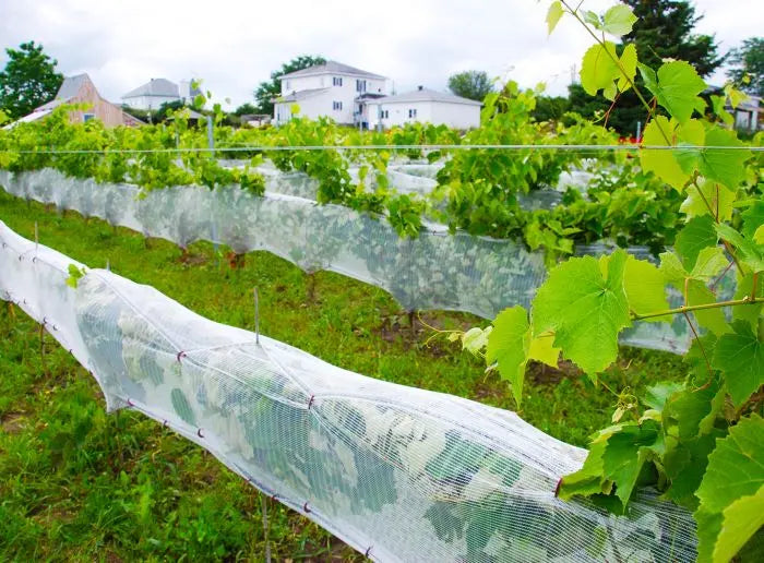 Anti-Bird Netting