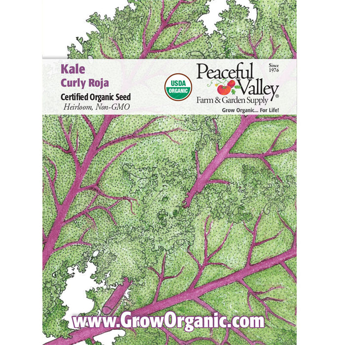 Curly Roja Kale Seeds (Organic)
