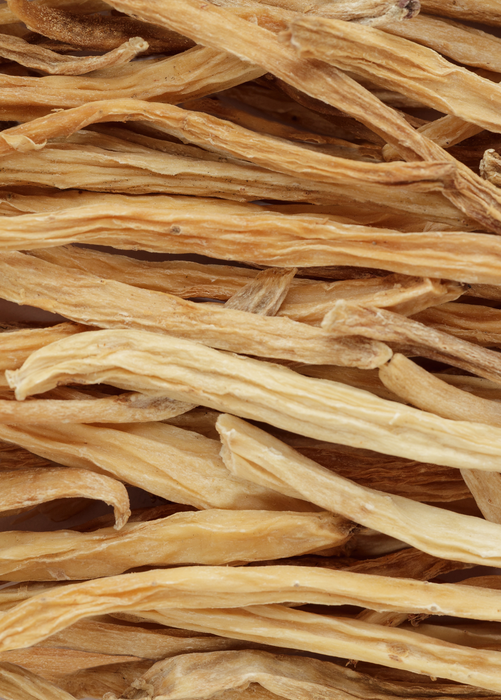 Shatavari (Asparagus racemosus)