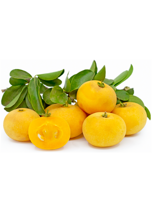 Kei Apple (Dovyalis caffra)