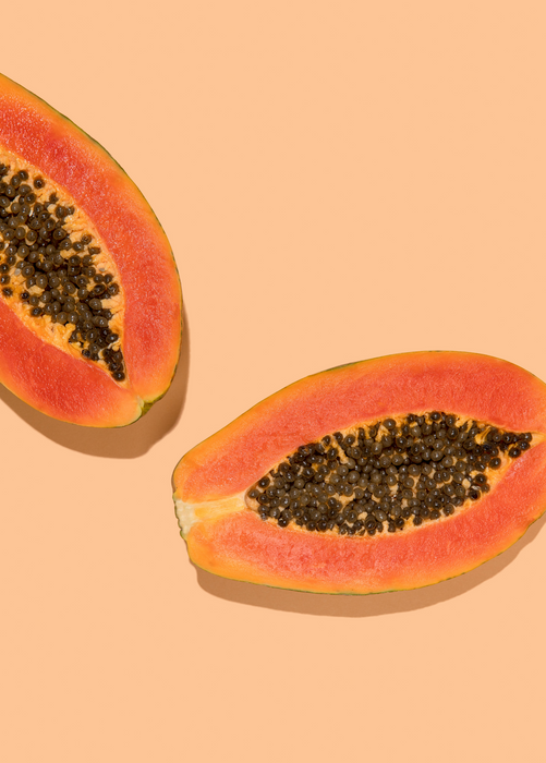 Papaya 'Dwarf Red Lady' (Carica papaya)