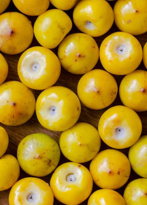 Nance (Byrsonima crassifolia)