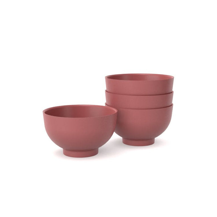 Rice Bowl Set - Spice - Set of 4
