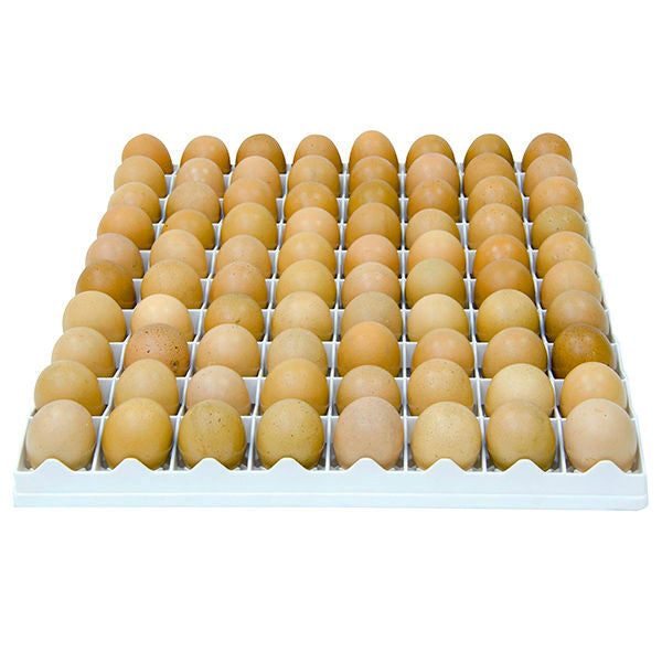 Egg Setter Tray - Chicken - 80 Eggs