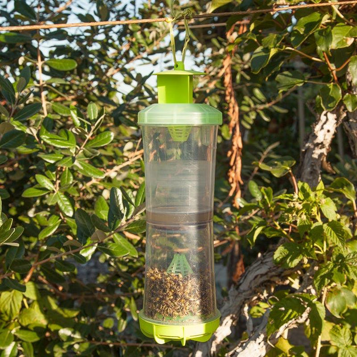 Reusable W-H-Y Trap with Attractant