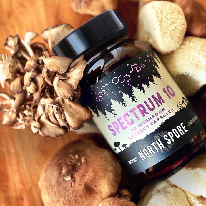 Organic ‘Spectrum 10’ Multi-Mushroom Capsules