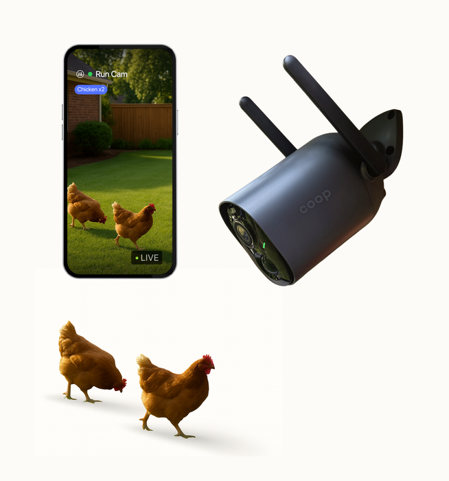 The Smart Coop AI Camera