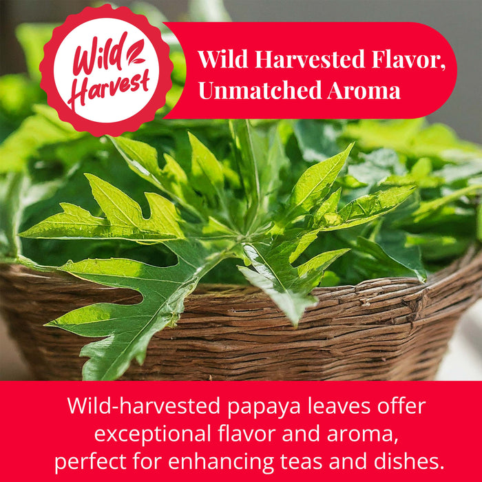 Akshit Papaya Leaves, Hojas de papaya, 2.6oz, Dried From Green Papaya Leaf, Herbal Tea, Non GMO, Caffeine free, Sugar free, Rich In Vitamins.
