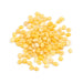 This is a Yellow Lentil