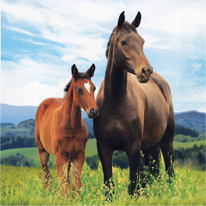 Bulk Wild Horse Luncheon Napkins (192 per Case)