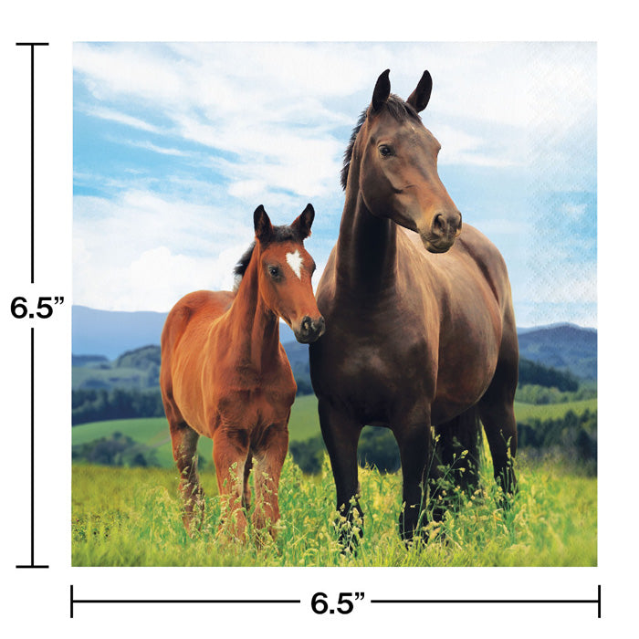 Bulk Wild Horse Luncheon Napkins (192 per Case)