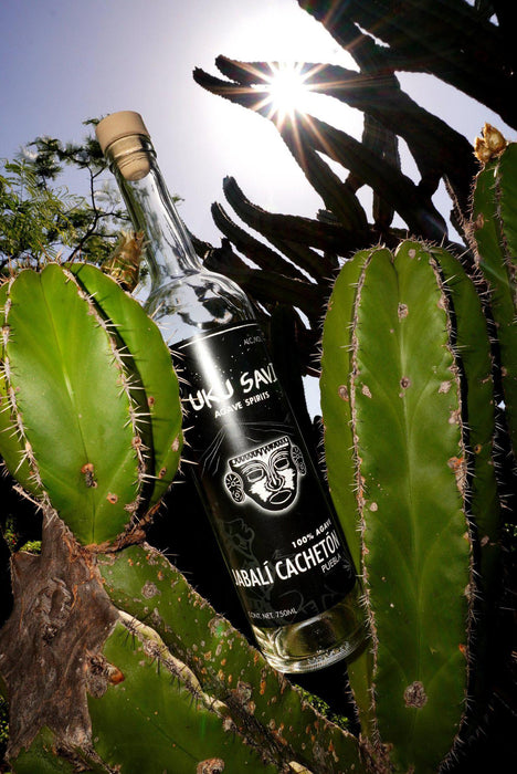 Yuku Savi - 'Jabali Cacheton' Mezcal (Jabali | 750ML)