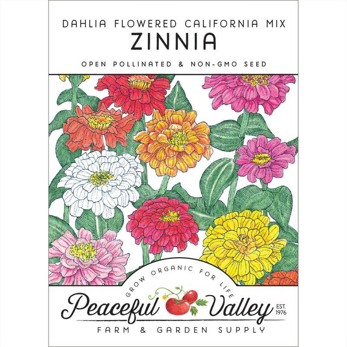 Zinnia, California Mix (pack)