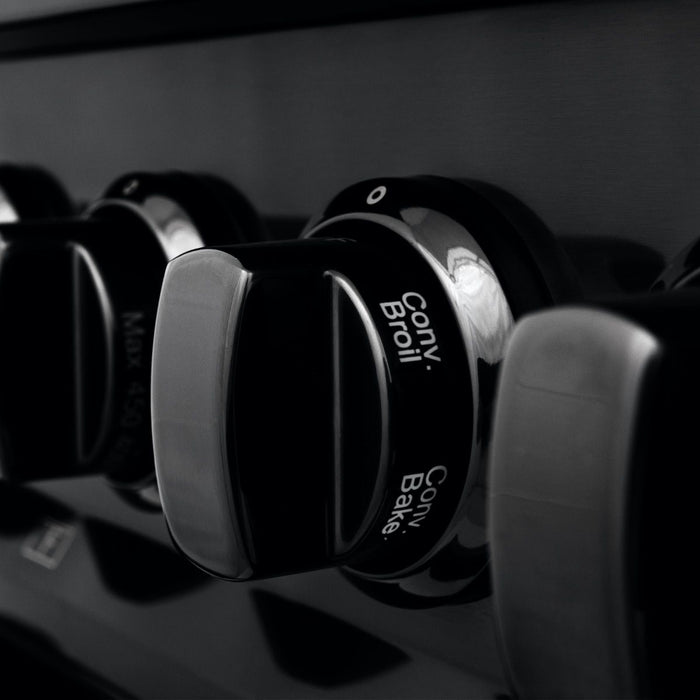 ZLINE 24" Black Stainless, Gas Brass Burner, Electric Range, RAB-BR-24