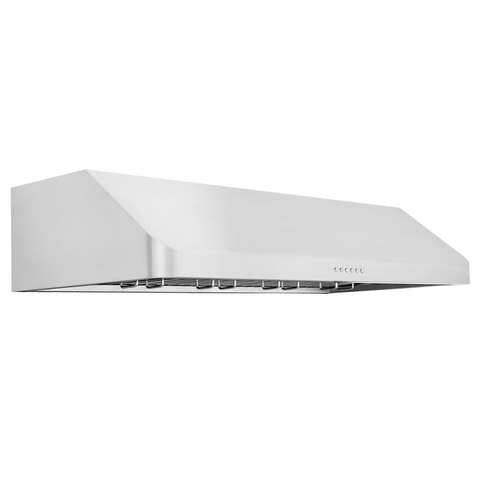 ZLINE 30" Alpine Series Undercabinet Range Hood, Stainless, ALP10UC-30
