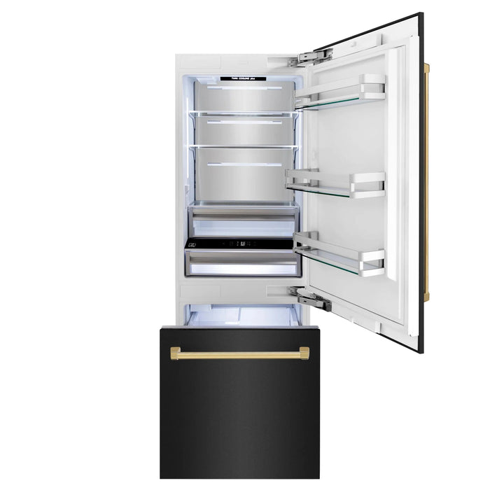ZLINE 30" Autograph 16.1 cu. ft. 2-Door Bottom Freezer Fridge Water/Ice Dispenser Black Stainless Steel Gold Accents RBIVZ-BS-30-G