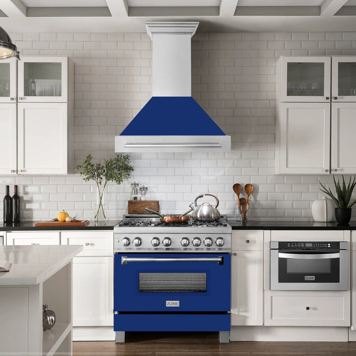 ZLINE 36" DuraSnow® Stainless Steel Range Hood 8654SNX-BG-36
