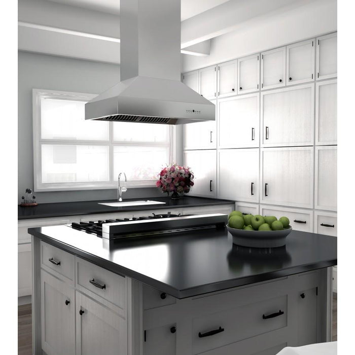 ZLINE 42" Outdoor Stainless Island Range Hood, 697i-304-42