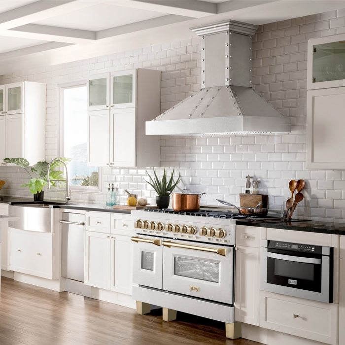 ZLINE 48" Autograph Edition Dual Fuel Range, DuraSnow, RASZ-SN-48-G