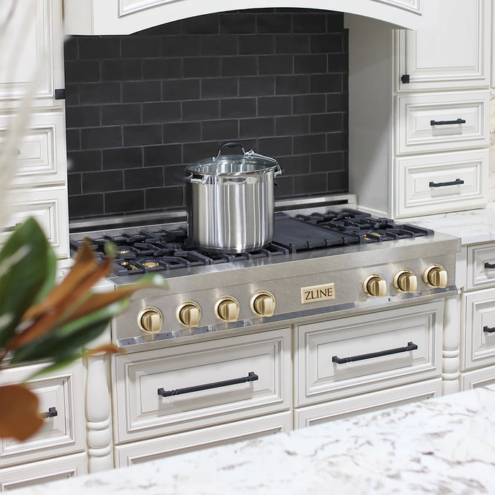 ZLINE 48" Autograph Edition, Rangetop, DuraSnow, Gold Accent, RTSZ-48-G