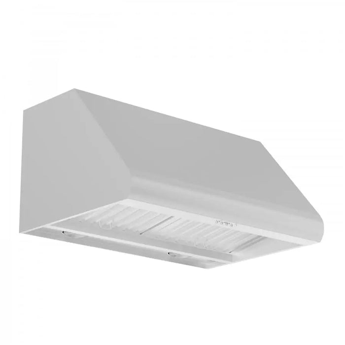 ZLINE 48" Under Cabinet Stainless Steel Range Hood 527-48