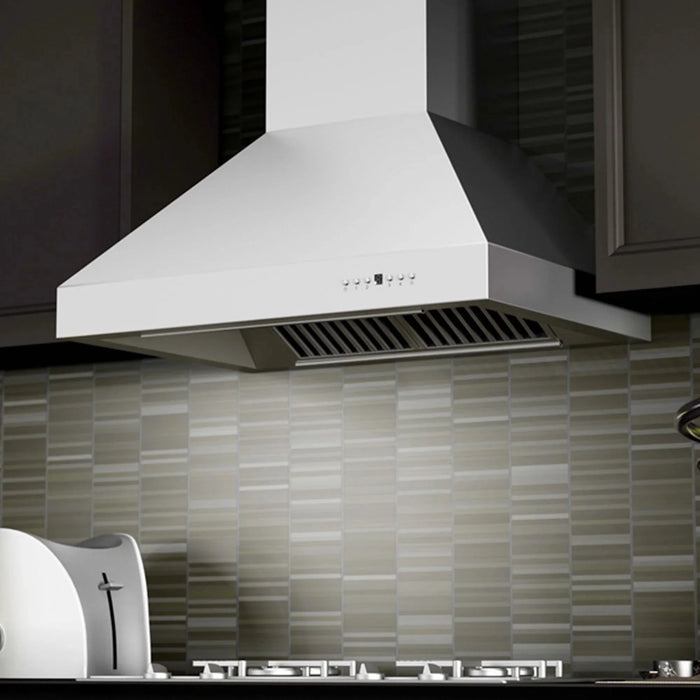 ZLINE Ducted Wall Mount Range Hood in Outdoor Approved Stainless Steel 697-304-30